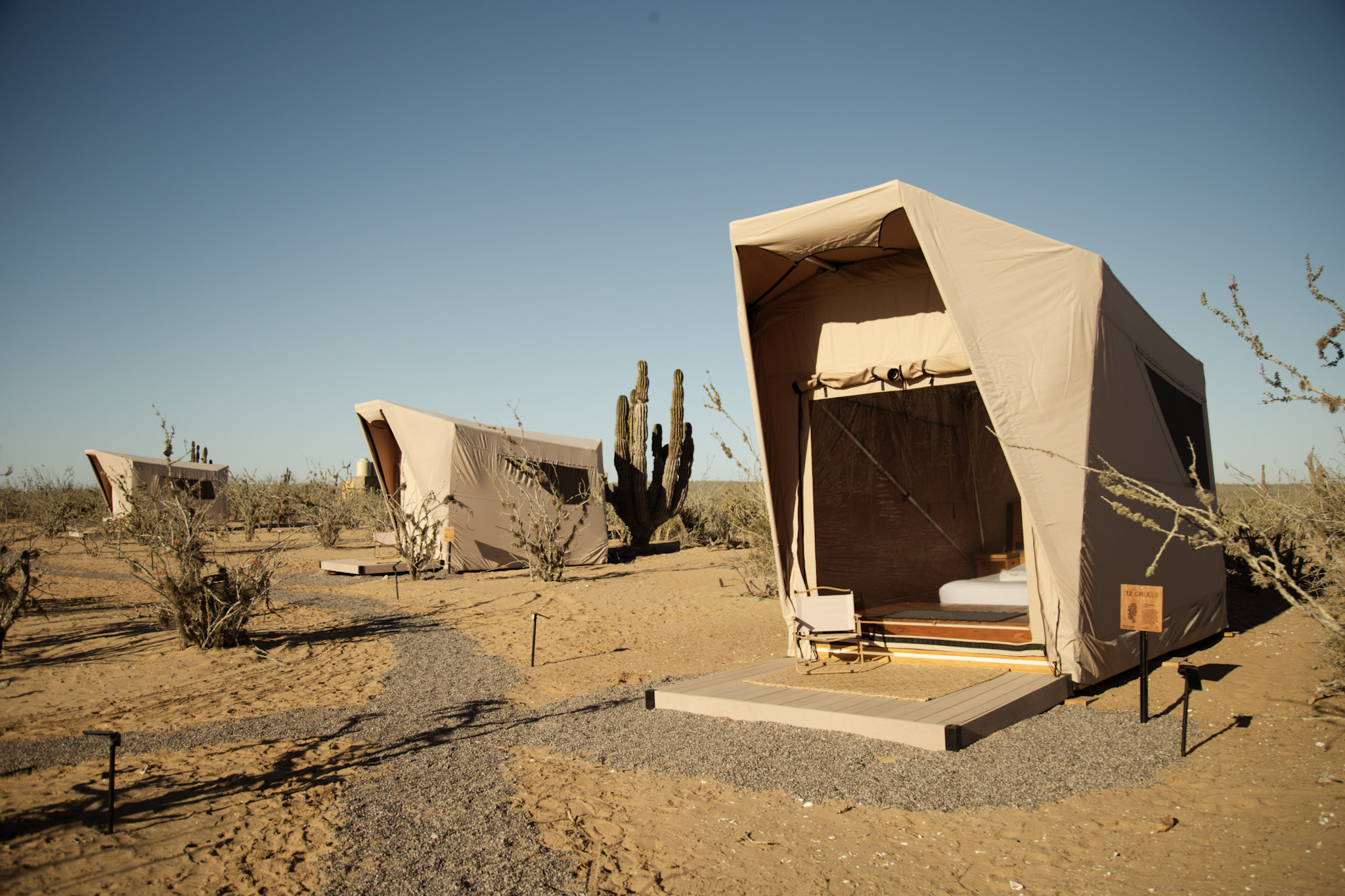 Marlins y Cetáceos en Bahía Magdalena - Glamping