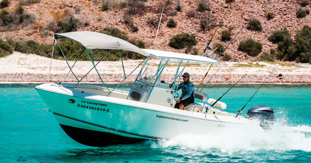 Lancha Privada En La Paz – Cobia 24’