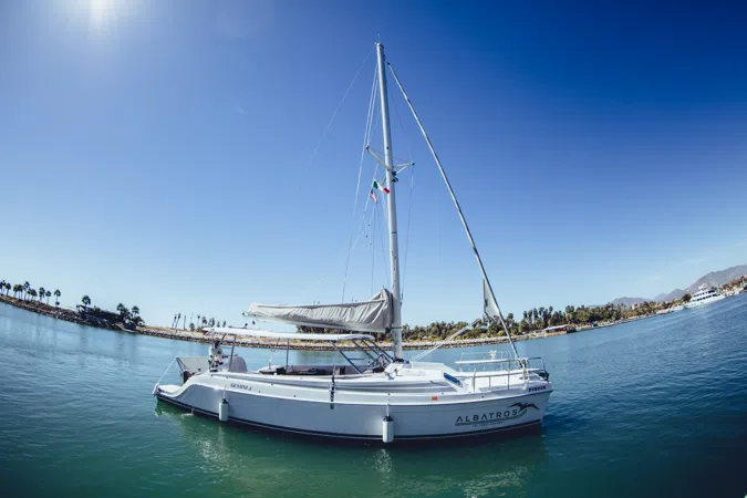 Paseo en Catamaran Avistamiento De Ballenas - Cabo