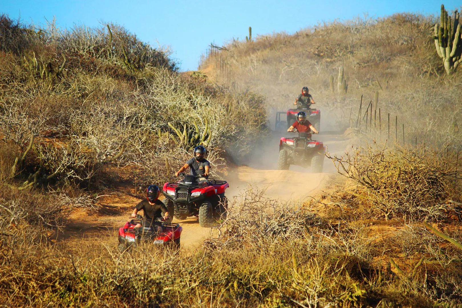 Tour en ATV Spider Road