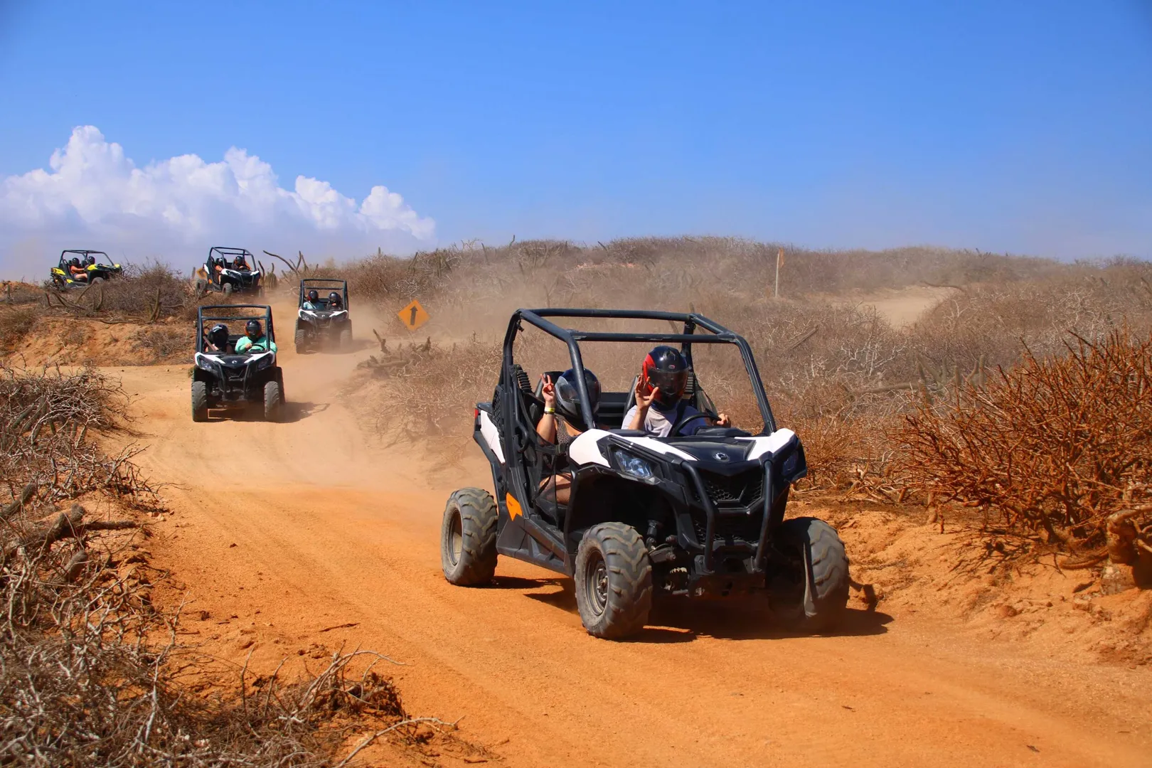 Tour en UTV Viper Trail