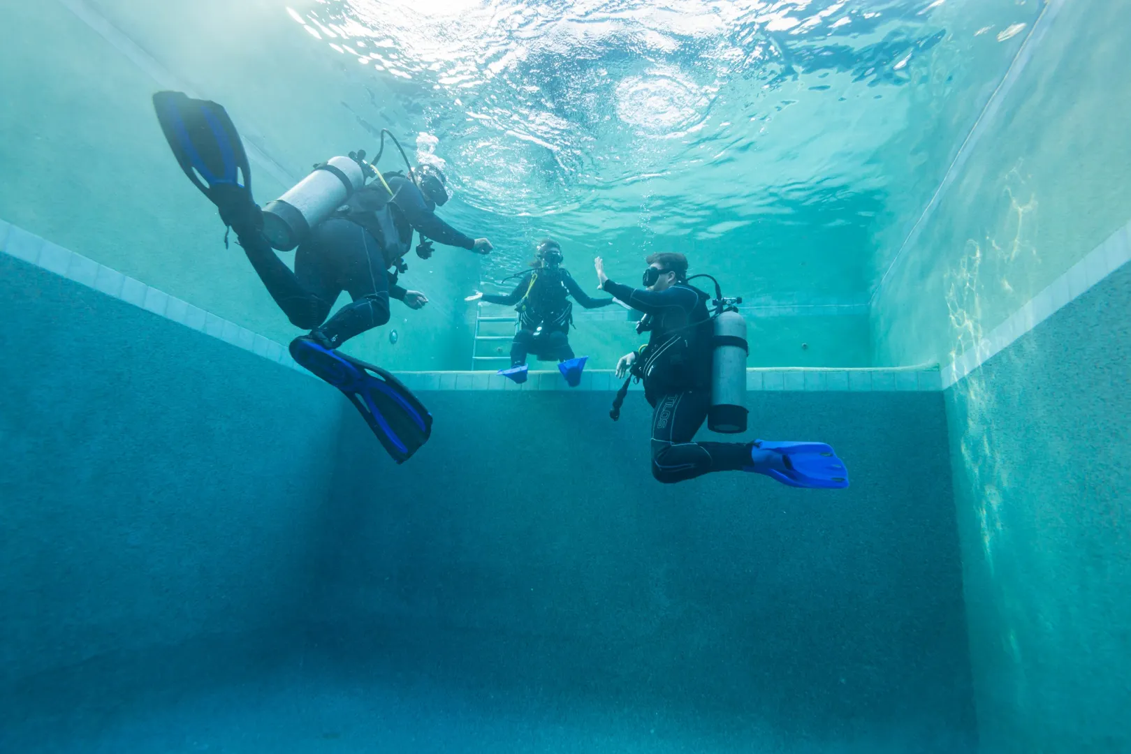 Descubriendo El Buceo En Cabo San Lucas (2 Buceos)
