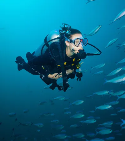 Buceo Para Buzos Certificados En La Reserva Marina Cabo San Lucas